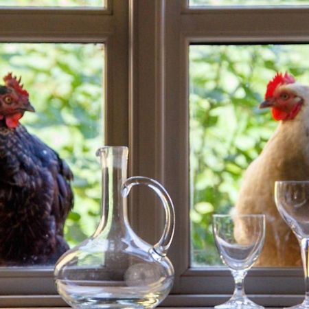 ホテル Lindenhof Chezartistes Loose エクステリア 写真