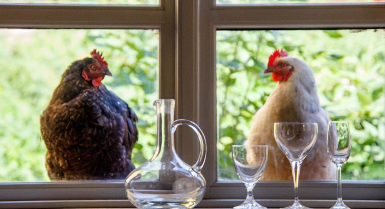ホテル Lindenhof Chezartistes Loose エクステリア 写真